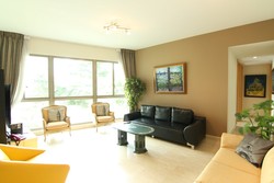 Amaryllis Ville (D11), Condominium #160678482